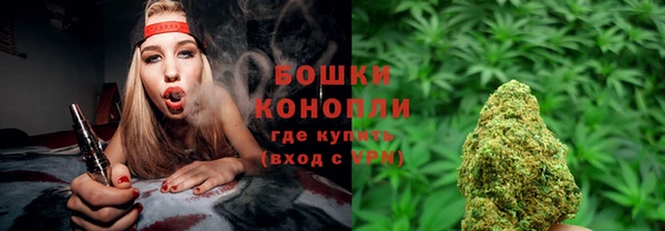 стаф Дмитровск