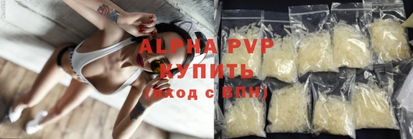 стаф Дмитровск