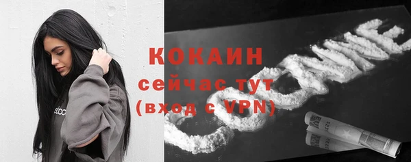 стаф Дмитровск