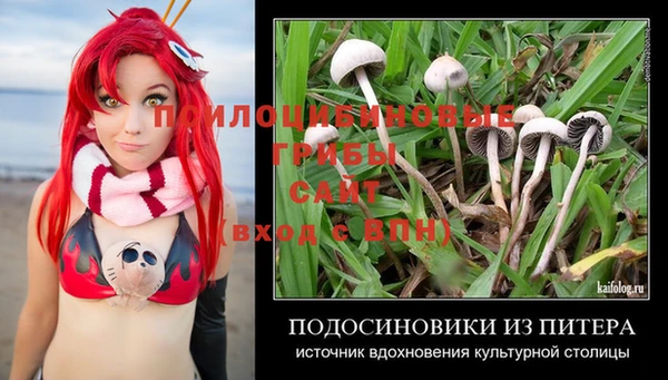 гидра Дмитриев