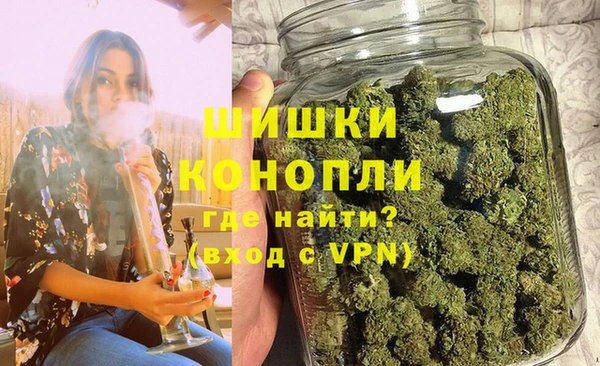 стаф Дмитровск