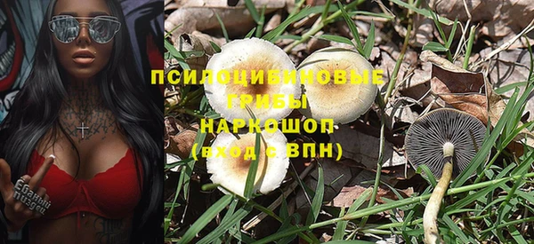 гидра Дмитриев