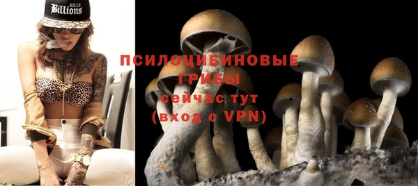 гидра Дмитриев