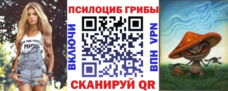 Купить закладки Новосокольники Псилоцибиновые грибы прущие грибы
